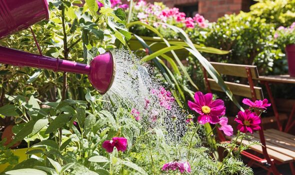 Choosing the Right Plants for Your Garden: Tips for Success