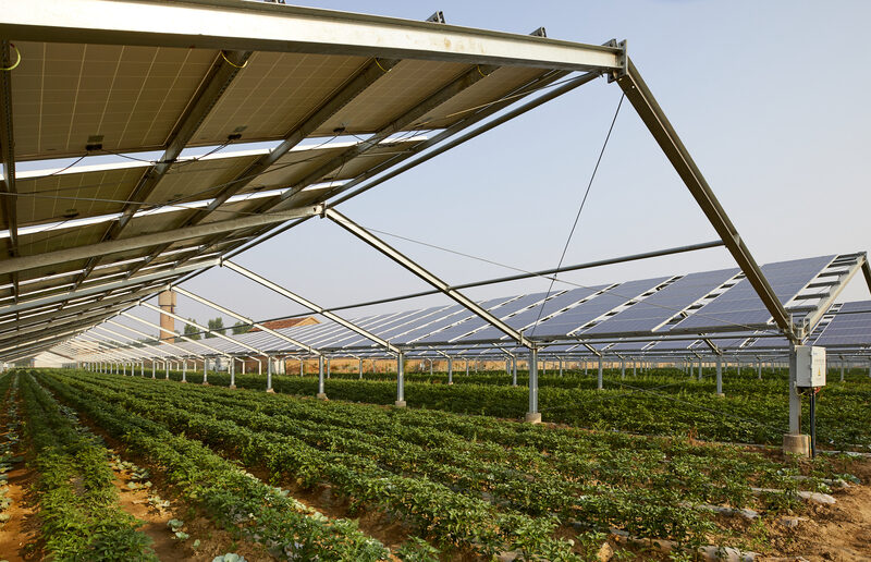 Agriculture Solar Systems: Are They the Future of Sustainable Farming?