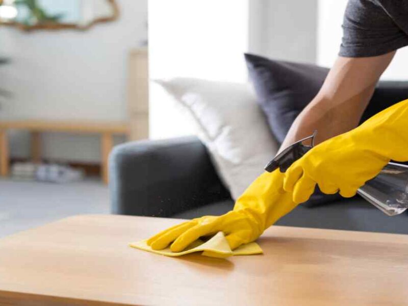 Keep Your Home Clean and Healthy with Professional Cleaning Services