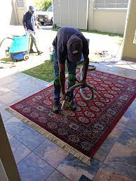 Premium Carpet Cleaning Services for a Fresh Look
